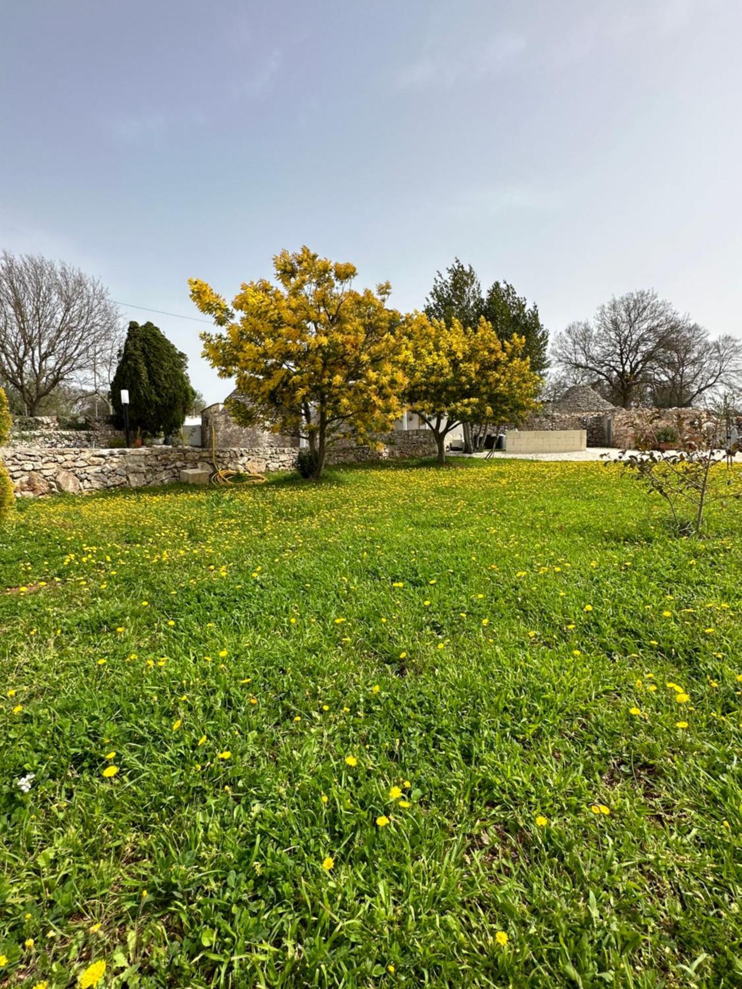 Trulli In Contrada Villa Noci Exteriör bild